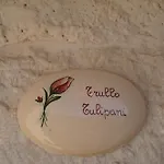 住宿加早餐酒店 Trulli Pastore 阿尔贝罗贝洛