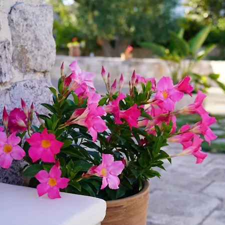 Trulli Pastore Bed and breakfast