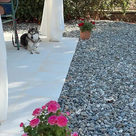 Bed and breakfast Trulli Pastore 4*