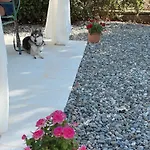 Frühstückspension Trulli Pastore 4*