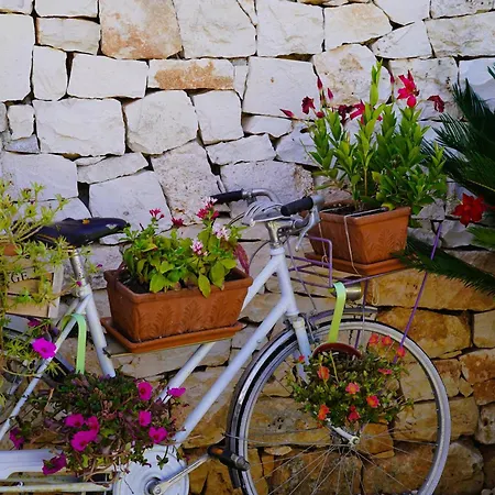 Bed & Breakfast Trulli Pastore 4*