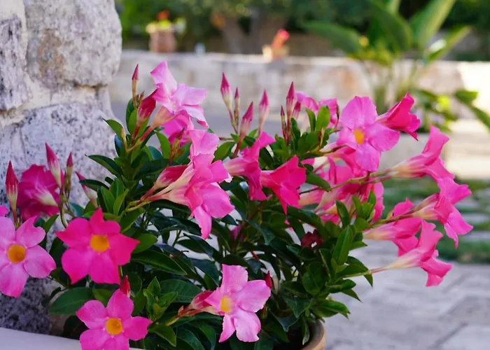 Trulli Pastore Bed & Breakfast