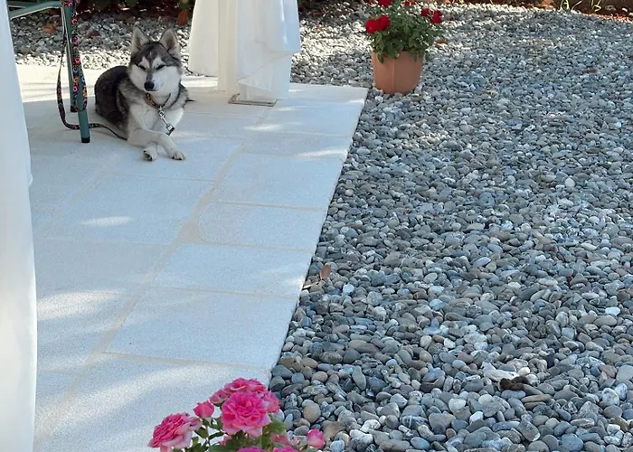 לינה וארוחת בוקר Trulli Pastore 4*